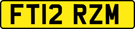 FT12RZM