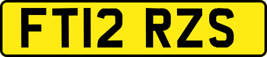 FT12RZS