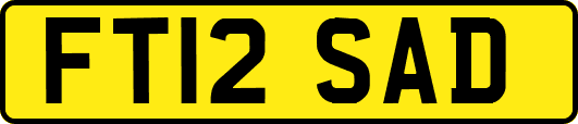 FT12SAD