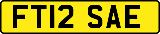 FT12SAE