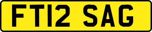 FT12SAG