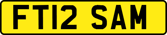 FT12SAM
