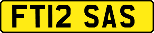FT12SAS