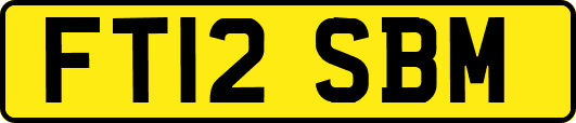 FT12SBM