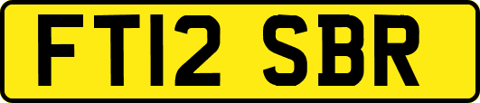 FT12SBR