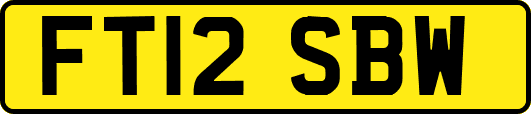 FT12SBW