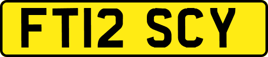 FT12SCY
