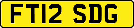 FT12SDG