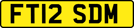 FT12SDM