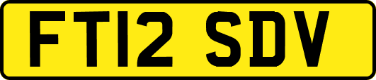 FT12SDV