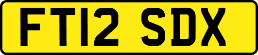 FT12SDX