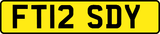FT12SDY