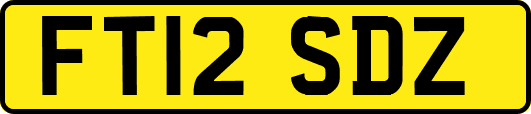 FT12SDZ