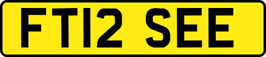 FT12SEE