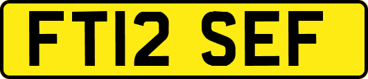 FT12SEF