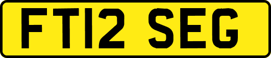 FT12SEG