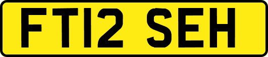 FT12SEH