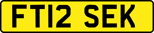 FT12SEK