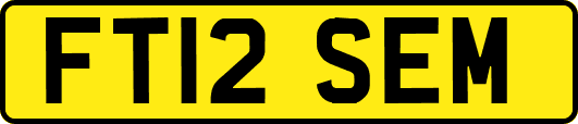 FT12SEM