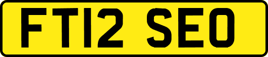 FT12SEO