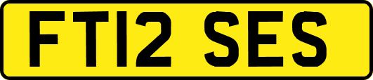 FT12SES