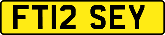FT12SEY