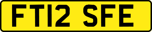 FT12SFE
