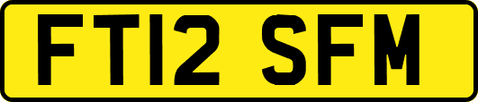 FT12SFM