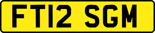 FT12SGM