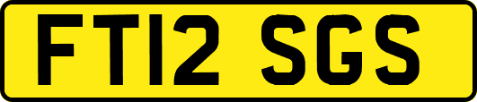 FT12SGS