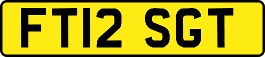 FT12SGT