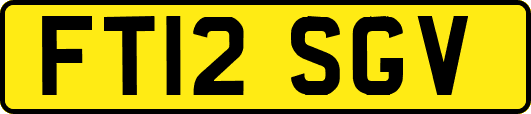 FT12SGV