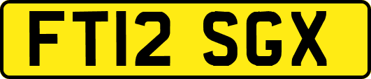 FT12SGX