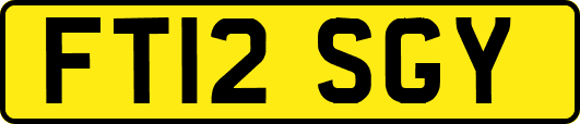 FT12SGY