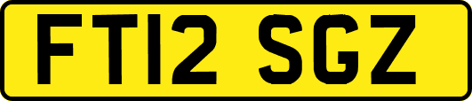 FT12SGZ