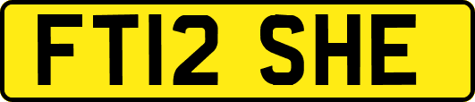 FT12SHE