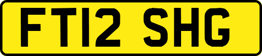 FT12SHG
