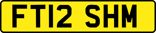 FT12SHM