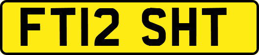 FT12SHT