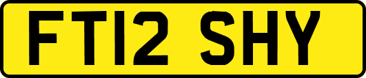 FT12SHY