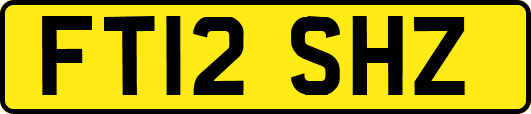 FT12SHZ