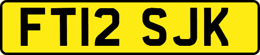 FT12SJK