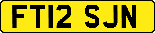 FT12SJN