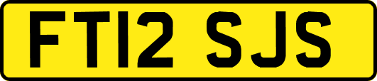 FT12SJS