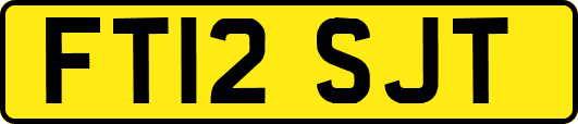 FT12SJT