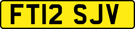 FT12SJV