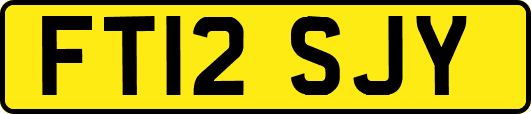 FT12SJY