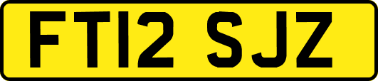 FT12SJZ