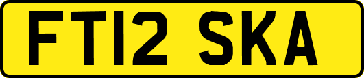 FT12SKA