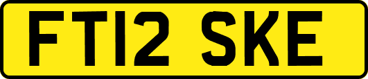 FT12SKE